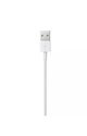 APPLE C TO LIGHTNING CABLE 2M